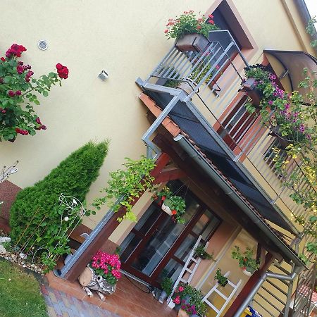 Ubytovani U Spacku Palava Novosedly  Exterior foto