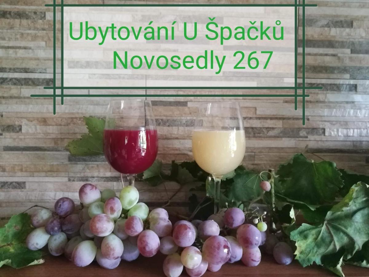 Ubytovani U Spacku Palava Novosedly  Exterior foto