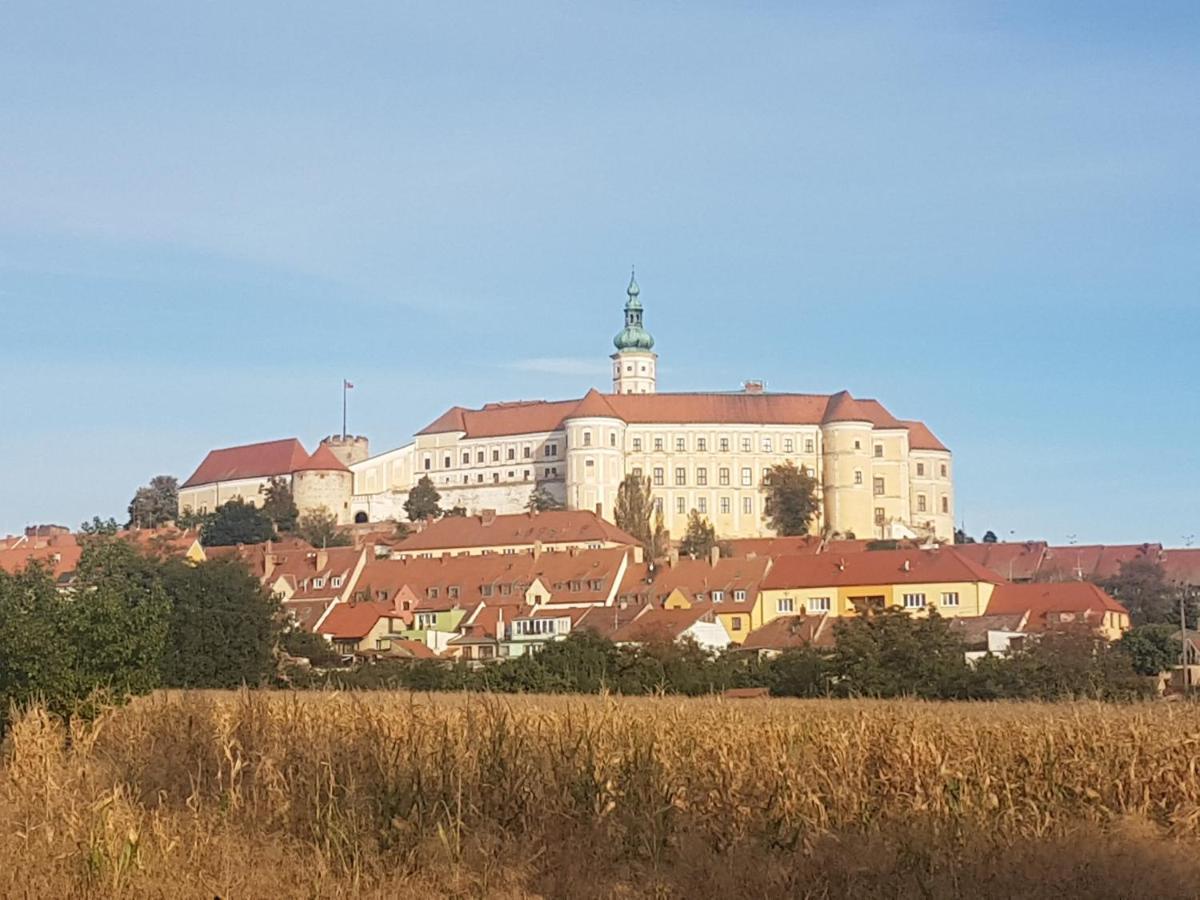 Ubytovani U Spacku Palava Novosedly  Exterior foto