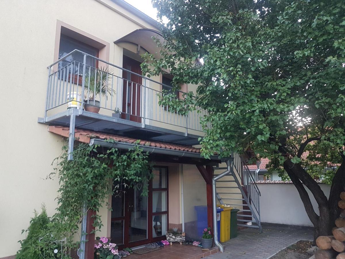 Ubytovani U Spacku Palava Novosedly  Exterior foto