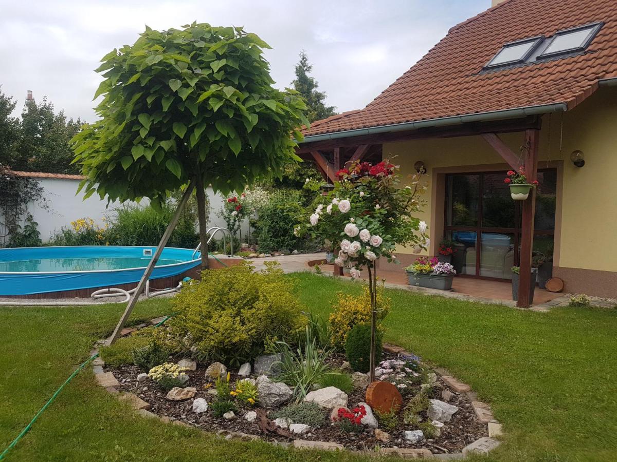 Ubytovani U Spacku Palava Novosedly  Exterior foto