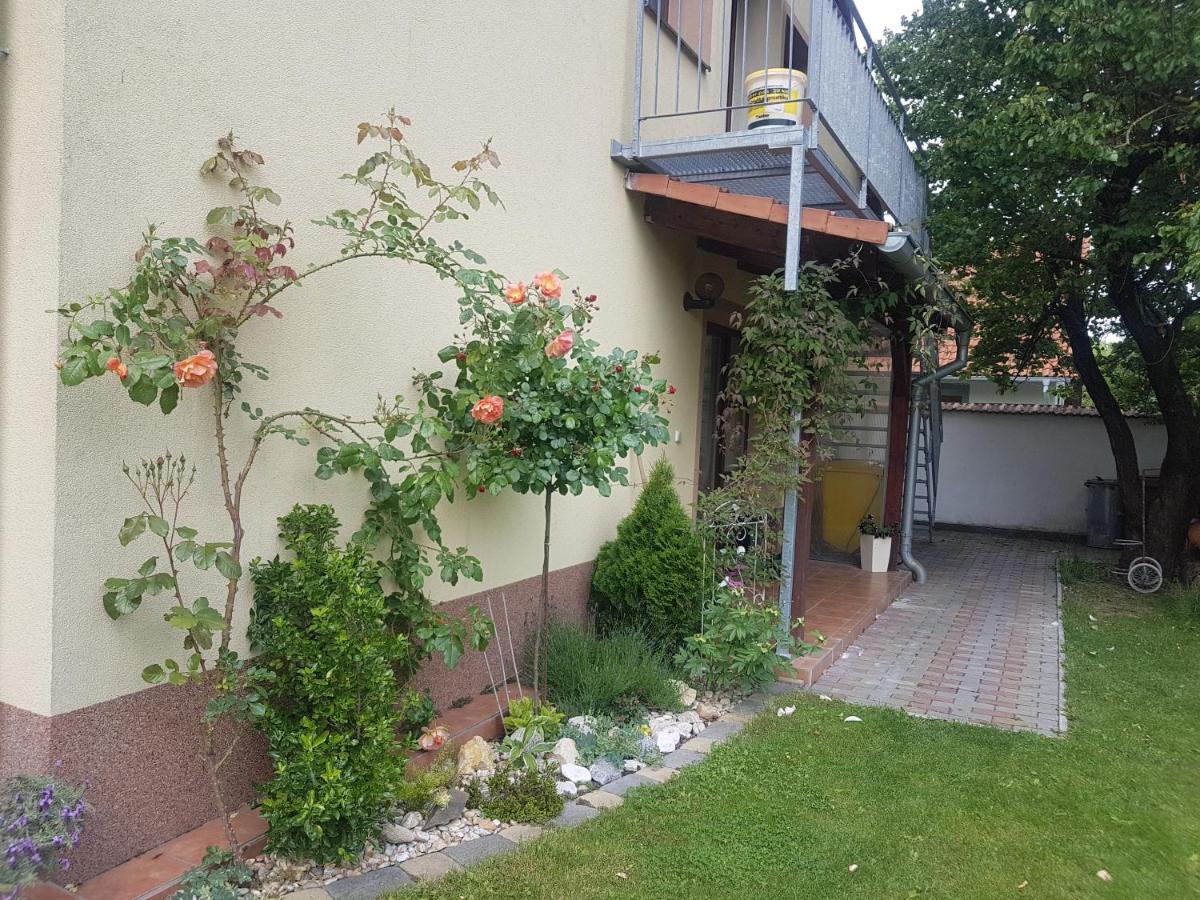 Ubytovani U Spacku Palava Novosedly  Exterior foto