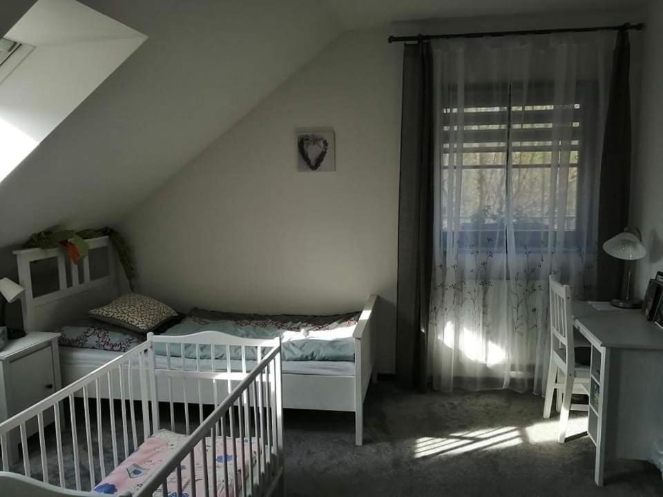 Ubytovani U Spacku Palava Novosedly  Exterior foto