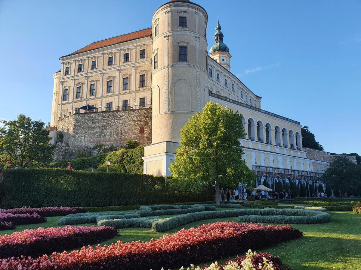 Ubytovani U Spacku Palava Novosedly  Exterior foto