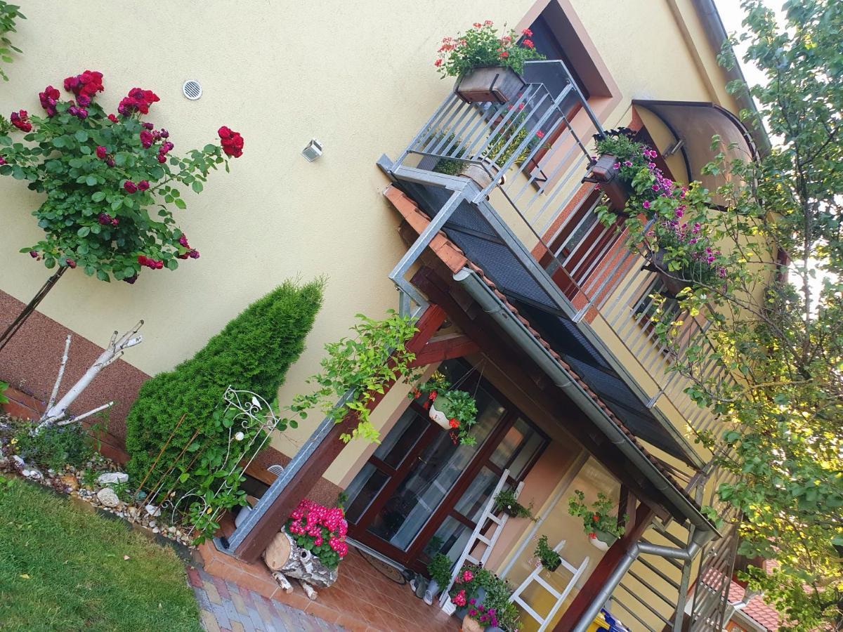 Ubytovani U Spacku Palava Novosedly  Exterior foto
